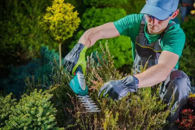 landscaping services Pilot Grove